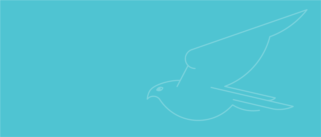 Swift Hawk-Website-Art_ABOUT_20200218-08.png